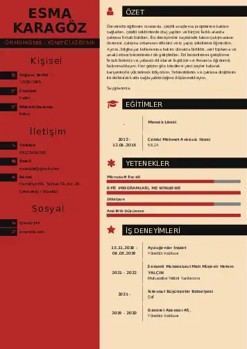 Yönetici Asistanı Cv Örnekleri cv indir